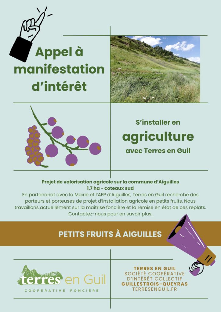 Affiche AMI