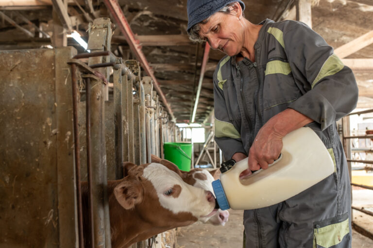 Photo 2 LA FERME DES BERTRAND Copyright Laurent Cousin